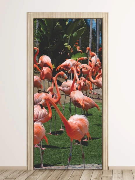 Flamingo door wallpaper FP 2535 D - Graphic design featuring a group of flamingos on green grass.