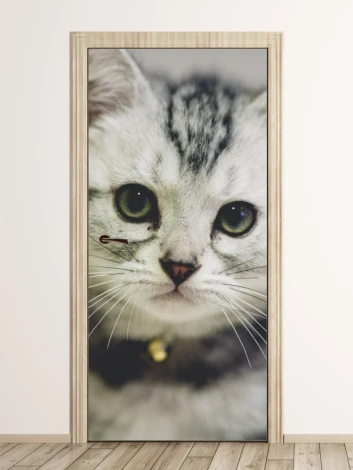 Cat door mural FP 2550 D - Graphic design featuring a close-up of a cat with prominent eyes and whiskers.