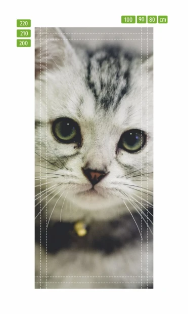 Cat face door mural FP 2550 D - Graphic design featuring a cat\'s face with large eyes and gray fur.