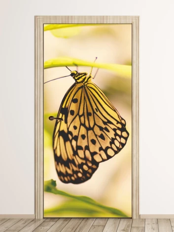 Colorful butterfly door wallpaper FP 2511 D - Graphic design. Yellow butterfly with black spots on its wings.