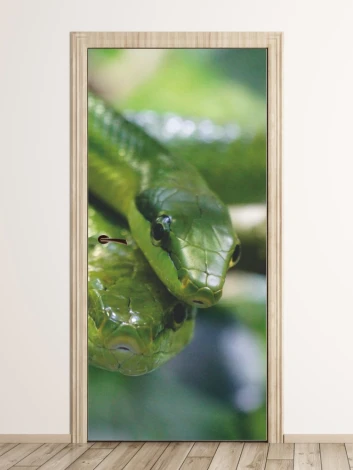 Door mural of two green snakes intertwining, showcasing their scales and eyes.