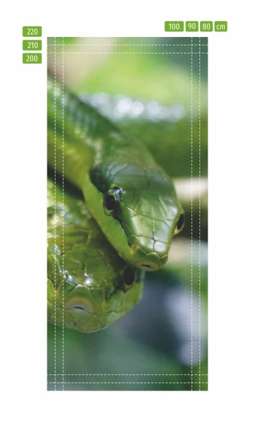 Door wallpaper featuring a pair of snakes FP 2549 D - Graphic design with two green snakes and detailed heads and bodies.