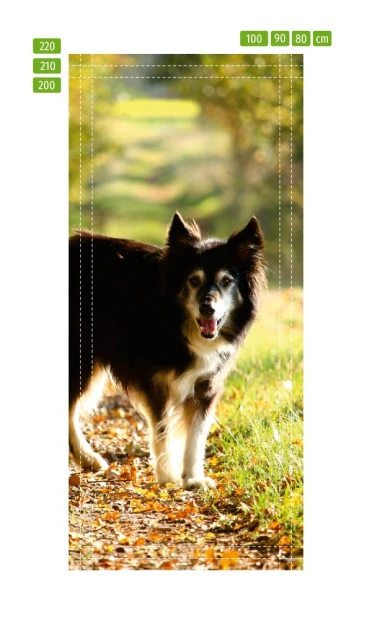 Door wallpaper featuring a dog walking in the park, surrounded by nature. Design FP 2493 D.