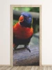 Parrot door mural FP 2400 D - Graphic design featuring a colorful parrot perched on a branch.