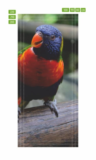 Parrot door wallpaper FP 2400 D - Graphic design featuring a colorful parrot against a wooden background.