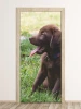 Labrador puppy door mural FP 2407 D - Graphic design. Puppy sitting on grass with mouth open.