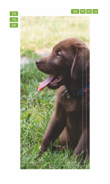 Labrador puppy door mural FP 2407 D - Graphic design featuring a puppy sitting on grass with an open mouth.