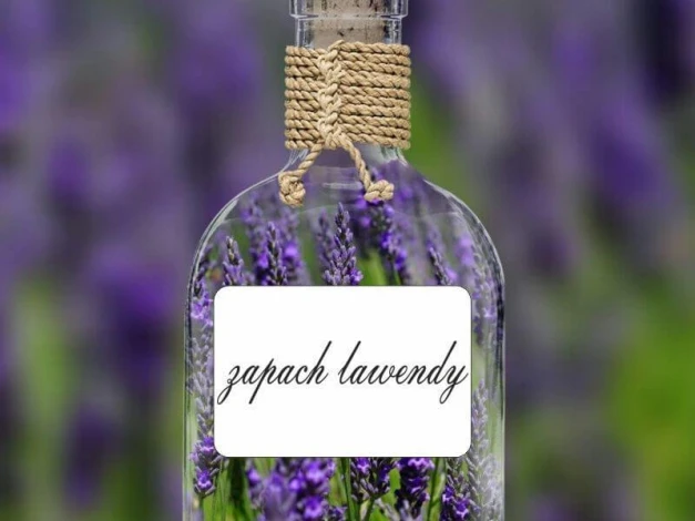 Dry-erase labels for jars, rectangular 005 - set of 16 - Graphic design. White rectangles with text on a background.