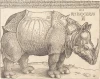 Reproduction of The Rhinoceros by Albrecht Durer - a graphic design featuring a detailed profile of a rhinoceros.