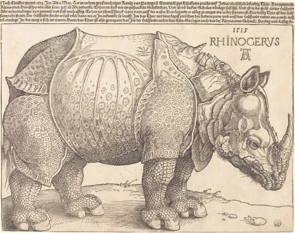 Reproduction of The Rhinoceros by Albrecht Durer - a graphic design featuring a detailed profile of a rhinoceros.