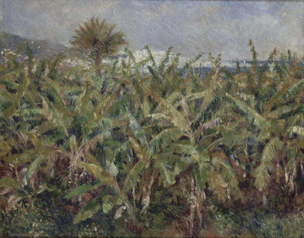 Reproduction of Champ de bananiers by Renoir - Graphic design featuring lush green banana leaves.
