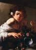 Reproduction of Boy Bitten by a Lizard, Michelangelo Caravaggio - Graphic design. Boy with a surprised expression, holding