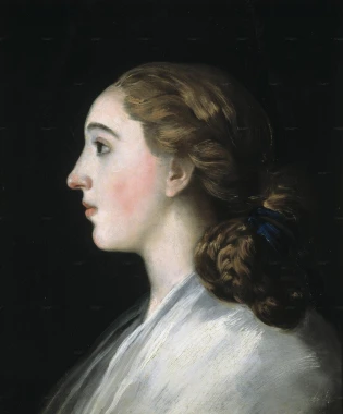 Reproduction of Maria Teresa de Vallabrigda by Francisco Goya. Female figure in profile with a braid and light features.