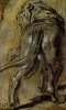 Reproduction of Peter Paul Rubens\' Lowin. The image depicts a lion in a side position, showcasing its tail and mane.