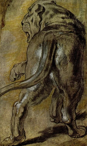Reproduction of Peter Paul Rubens\' Lowin. The image depicts a lion in a side position, showcasing its tail and mane.