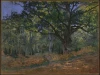 Reproduction of The Bodmer Oak, Fontainebleau Forest by Claude Monet. The artwork features a large oak tree in the forest.