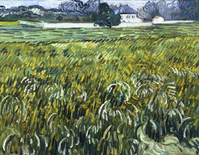 Reproduction of House at Auvers 1890 by Vincent van Gogh. The image features a field with yellow and green crops.