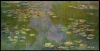 Water Lilies reproduction, 1919, by Claude Monet - Graphic design featuring water lilies on the water\'s surface.