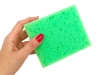 Chalkboard sponge - Graphic design. Rectangular sponge in vibrant green with a porous texture.