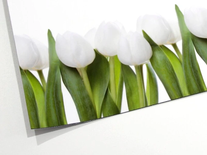 Magnetic whiteboard with tulip design - white tulips and green leaves on a light background.