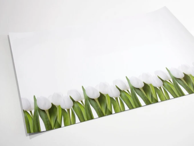 Magnetic whiteboard with a tulip design featuring white tulips and green leaves along the bottom.