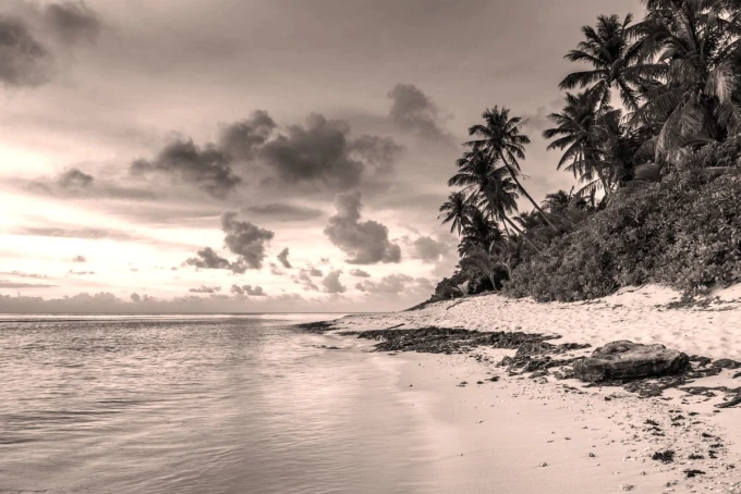 Tropical coastline wall mural FP 3198 - Graphic design featuring palm trees, beach, and clouds in the sky.