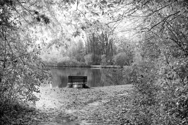 Wall mural of a bench in an autumn park FP 3370 - Natural space arrangement with a scene by the lake.