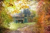 Wall mural of a bench in an autumn park, featuring a scene with a bench surrounded by colorful leaves.