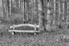 Wooden bench in the forest wallpaper FP 3417 - Gray and white background with trees and a bench.