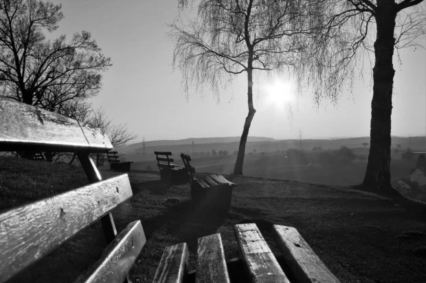 Wall mural of park benches in sunlight FP 3415 - Park arrangement. Gray benches in the glow of the setting sun.