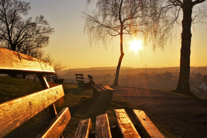 Wall mural of park benches in sunlight FP 3415 - Park arrangement. Warm shades of brown and gold.