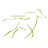 Stylish sticker with a delicate horse outline, perfect for minimalist decor in a youth space.