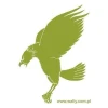 Dynamic green eagle, perfect for modern interiors, adding character to any space.