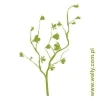 Stylish tree sticker 0952 in soft green shades, perfect for a modern interior.