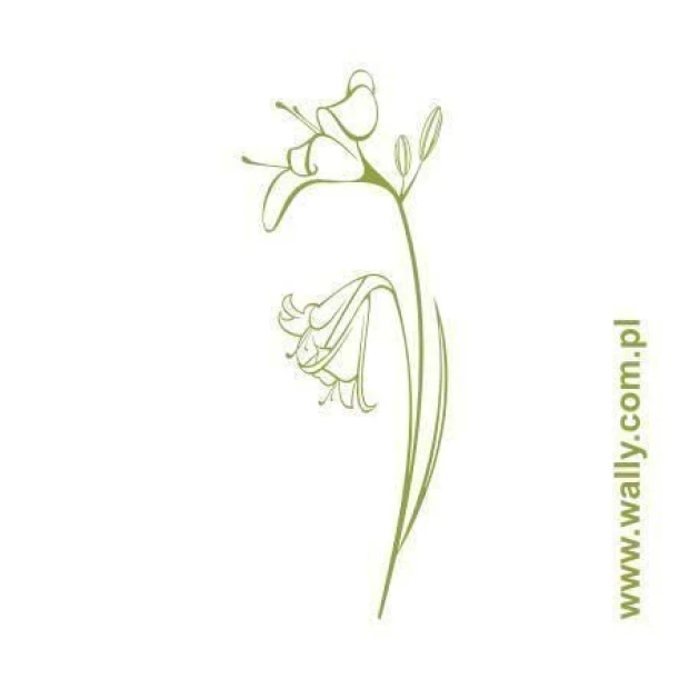 Elegant sticker with delicate flowers, perfect for a minimalist interior or modern living space.