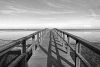 Coastal pier wall mural FP 3535 - Graphic design featuring a wooden bridge leading to calm waters.