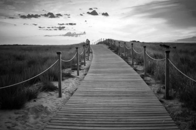 Wall mural of a long pier leading to the beach, surrounded by grass. Design code: FP 3594.