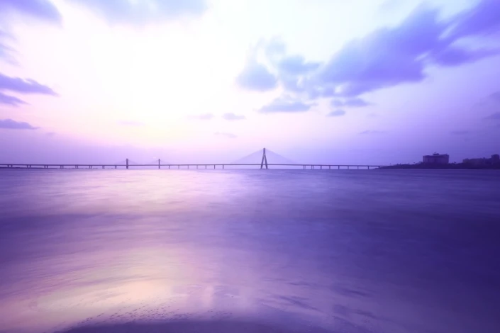 Wall mural of a bridge against a purple sunset, FP 3597 - Graphic design with thin line details.