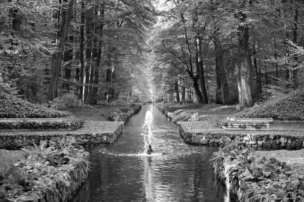Park wall mural FP 3710 - Graphic design featuring a park view with paths, trees, and a water stream.