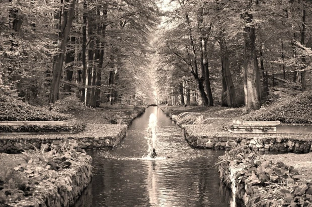 Park lantern wall mural FP 3710 - Graphic design. View of a park path with trees and water.