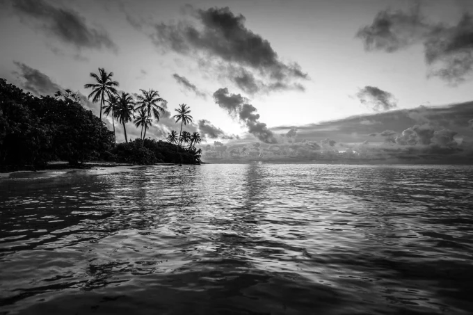 Tropical island wall mural FP 3714 - Graphic design featuring a sea view with palm trees and clouds.
