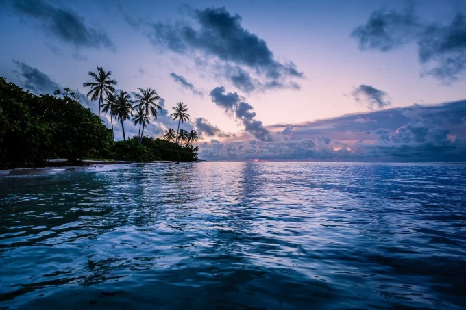 Tropical island wall mural FP 3714 - Graphic design featuring a beach, water, and palm trees against the sky.