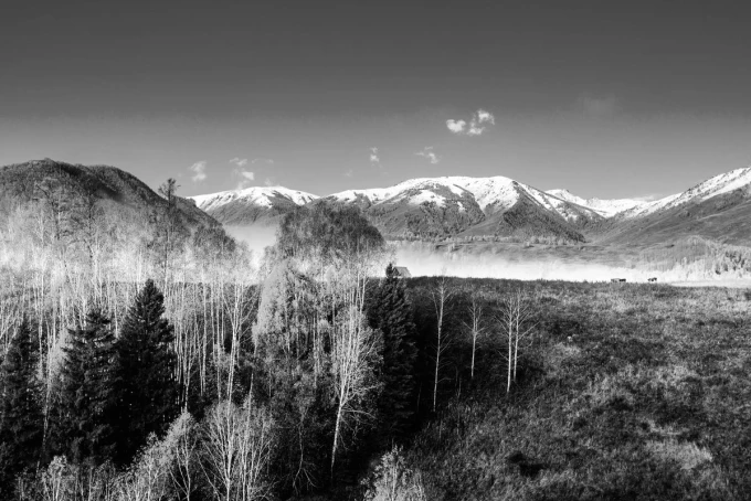 Wall mural of misty fragments over a meadow at dawn FP 3742 - Graphic design featuring mountains, trees, and fog.