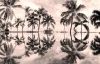 Wall mural of palm reflections in water FP 3854 - Graphic design featuring palm trees mirrored in water.