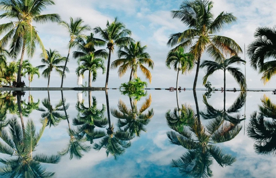 Wall mural of palm tree reflections in water FP 3854 - Graphic design with symmetrical palm reflections.