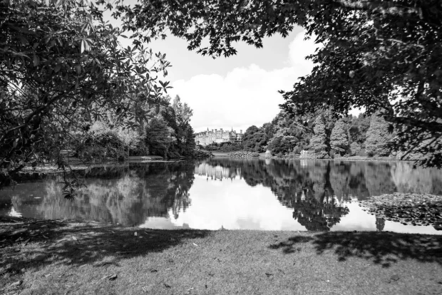 Green park wall mural FP 3869 - Graphic design featuring trees, water, and building reflections in the background.