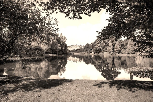 Green park wall mural FP 3869 - Graphic design featuring a view of trees and a pond in the background.