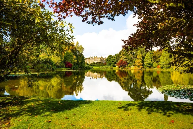 Green park wall mural FP 3869 - Graphic design featuring trees, water, and reflections.