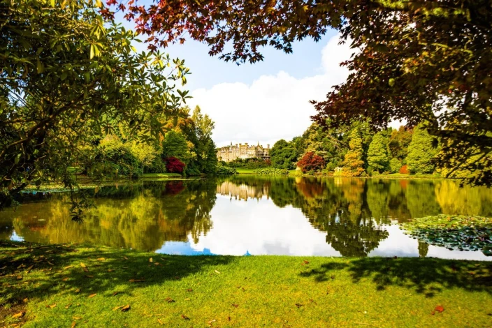 Green park wall mural FP 3869 - Graphic design featuring trees, water, and reflections.