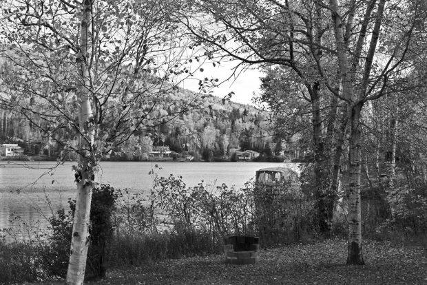 Wall mural of lakeside cottages FP 3991 - Natural setting with a view of the lake surrounded by trees.